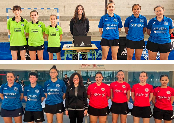 División de Honor Femenina Federación Tenis Mesa Principado Asturias